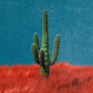 Meet your Posher, Eli